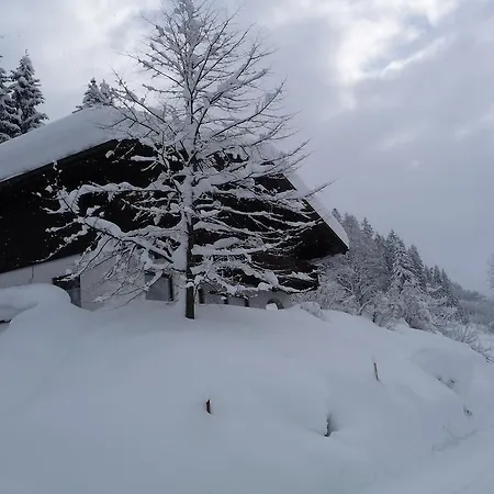 Hans Ebner * Eben Im Pongau